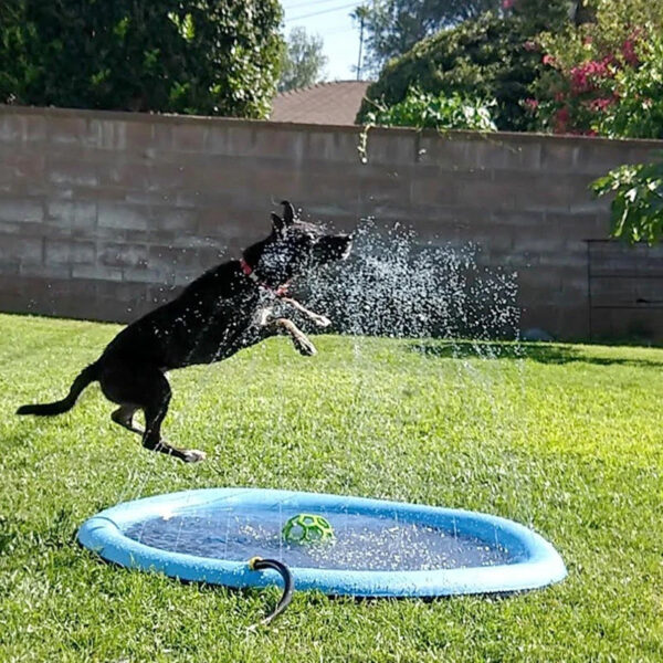 PawSplash - Dog's Favorite Summer Joy