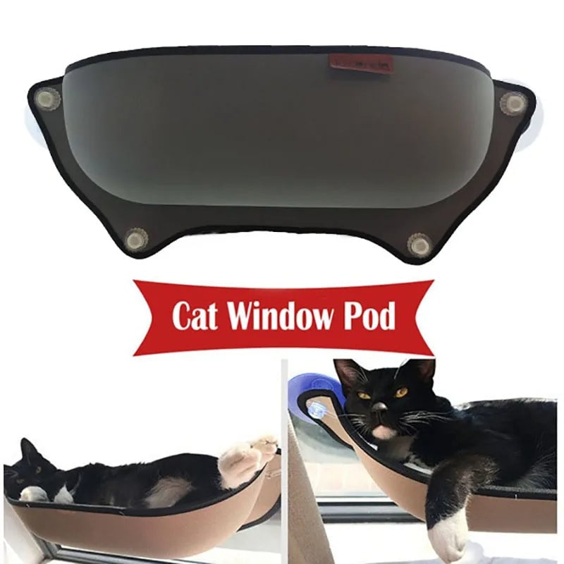 Pawtters - Make your cat your new co-pilot!