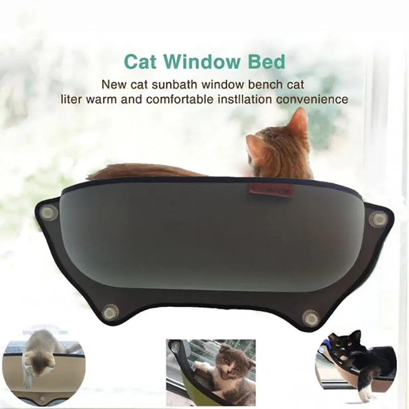 Pawtters – Make your cat your new co-pilot!