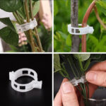 Plant Support Clips