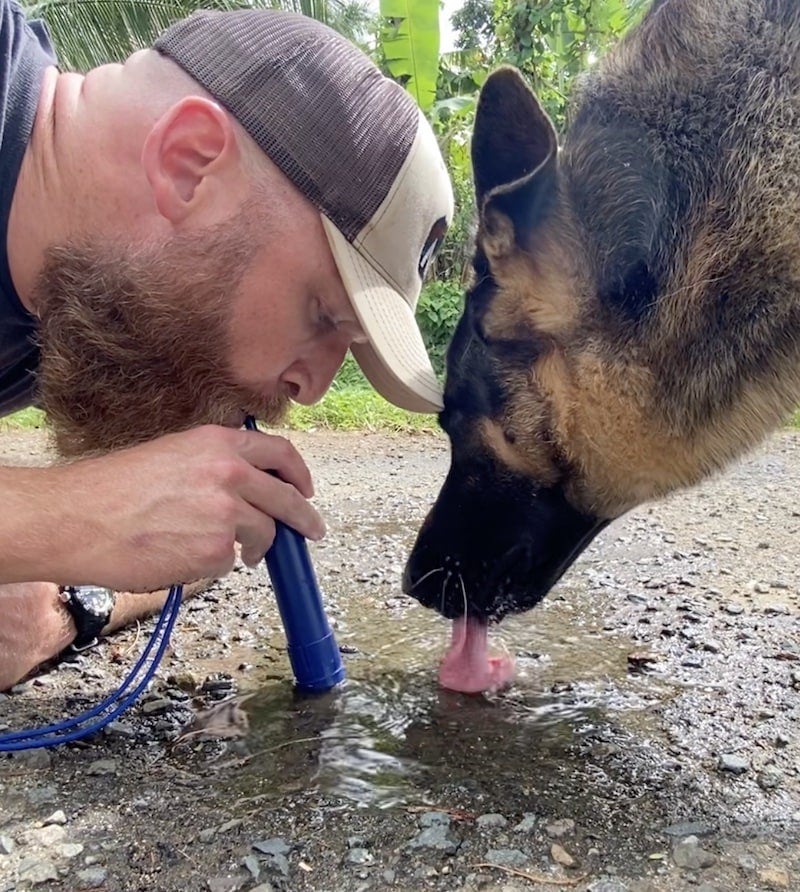 Pure Water Straw