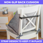 The #1 Back Pain Relief Cushion