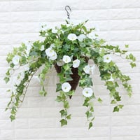 This Week's Special Sale 70% Off- UV Simulation Artificial flower