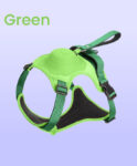 2 in 1 Harness & Leash