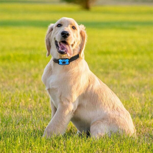 Barkey Anti-Bark Collar