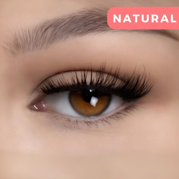 Beauty Haven - Magnetic Lashes