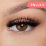 Beauty Haven - Magnetic Lashes