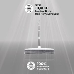 BROOMSE- Magical Brush Hair Removal