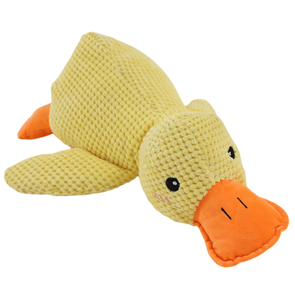 CALMING DUCK