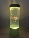 CarryingWishes  Jellyfish Lamp