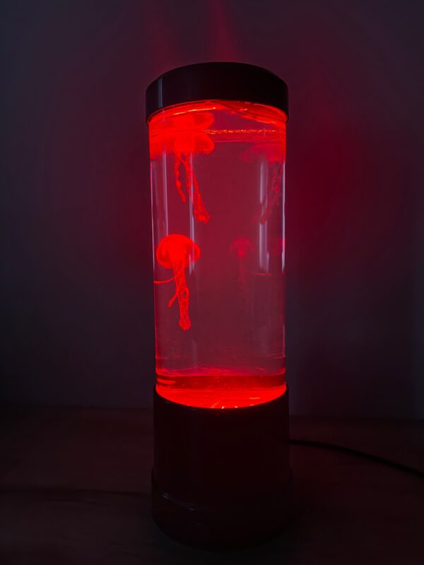 CarryingWishes  Jellyfish Lamp