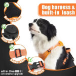 COMFY WALK HARNESS & LEASH