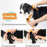 COMFY WALK HARNESS & LEASH