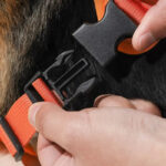 COMFY WALK HARNESS & LEASH