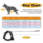 COMFY WALK HARNESS & LEASH