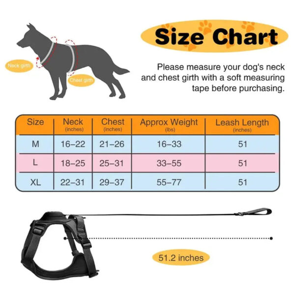 COMFY WALK HARNESS & LEASH