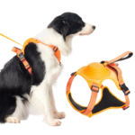 COMFY WALK HARNESS & LEASH