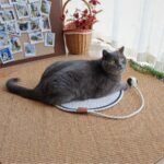 Cotton Rope Cat Scratch Mat Water-Resistant