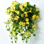 coverfrot - UV Simulation Artificial Flower