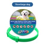 DrPaws 8 Months Flea and Tick Free Collar