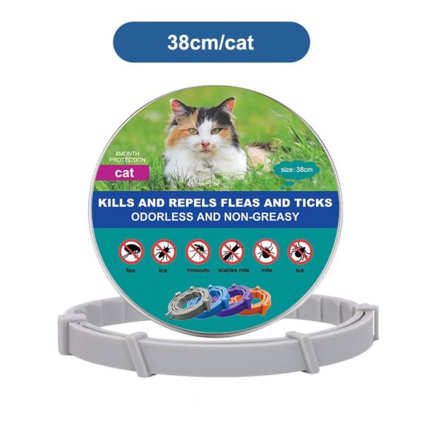 DrPaws 8 Months Flea and Tick Free Collar