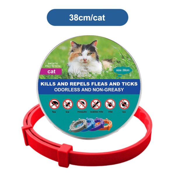 DrPaws 8 Months Flea and Tick Free Collar