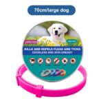 DrPaws 8 Months Flea and Tick Free Collar