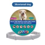 DrPaws 8 Months Flea and Tick Free Collar