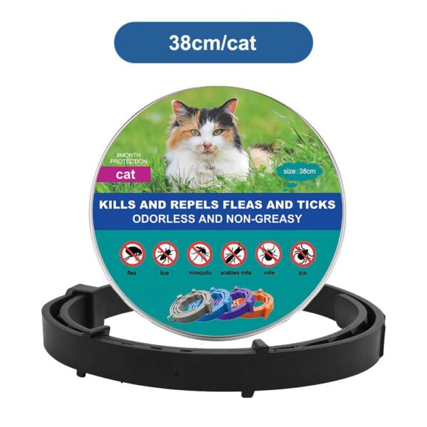 DrPaws 8 Months Flea and Tick Free Collar