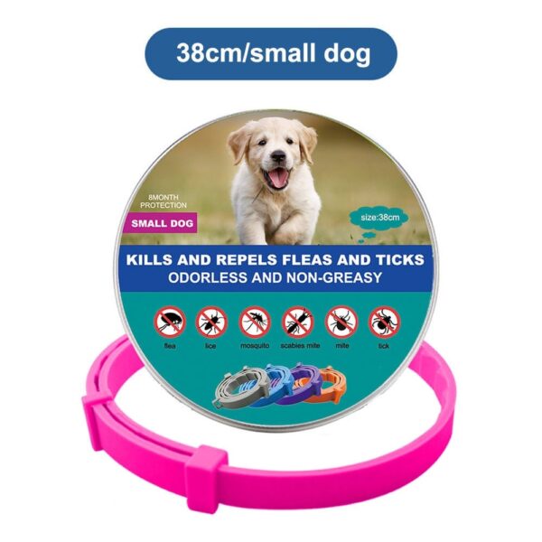 DrPaws 8 Months Flea and Tick Free Collar