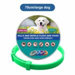 DrPaws 8 Months Flea and Tick Free Collar