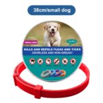 DrPaws 8 Months Flea and Tick Free Collar