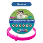 DrPaws 8 Months Flea and Tick Free Collar