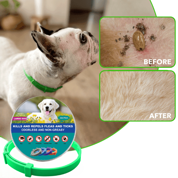 DrPaws 8 Months Flea and Tick Free Collar