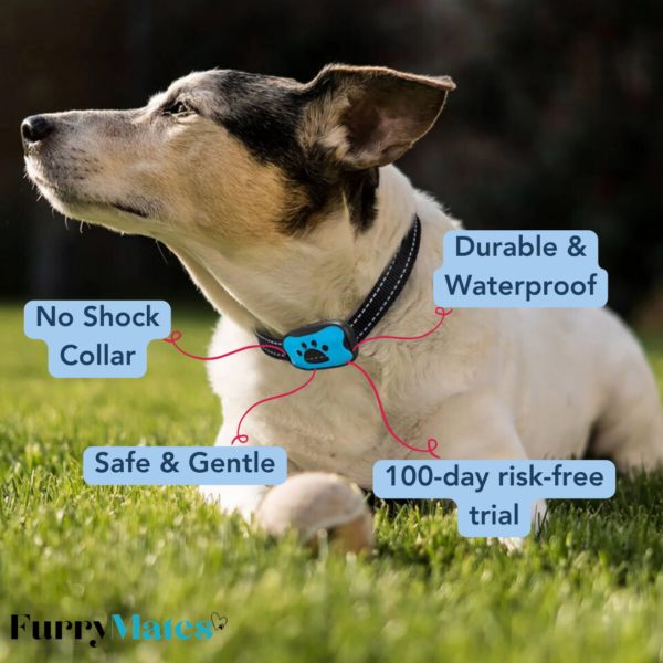 FurryMates Anti-Bark Collar