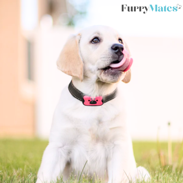 FurryMates Anti-Bark Collar