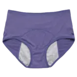 High Waist Leak Proof Panties