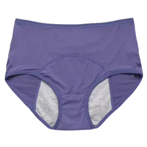 High Waist Leak Proof Panties