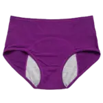 High Waist Leak Proof Panties