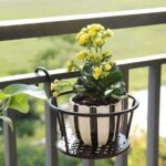 Hot Sale - Hanging flower stand (BUY MORE SAVE MORE)