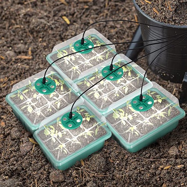 Hot Sale 49% OFF - Seed Starter Trays with Grow Light