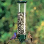 (Last Day Promotion 49% OFF) Squirrel-Proof Bird Feeder