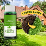 Last Day Promotion 50% OFF - GREENGROWN GRASS RENEWAL SYSTEM