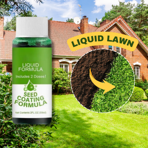 Last Day Promotion 50% OFF - GREENGROWN GRASS RENEWAL SYSTEM