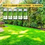 Last Day Promotion 50% OFF - GREENGROWN GRASS RENEWAL SYSTEM