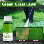 Last Day Promotion 50% OFF - GREENGROWN GRASS RENEWAL SYSTEM