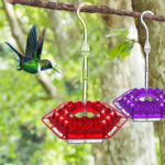 (Last Day Sale-50% OFF) Mary's Hummingbird Feeder With Perch And Built-in Ant Moat