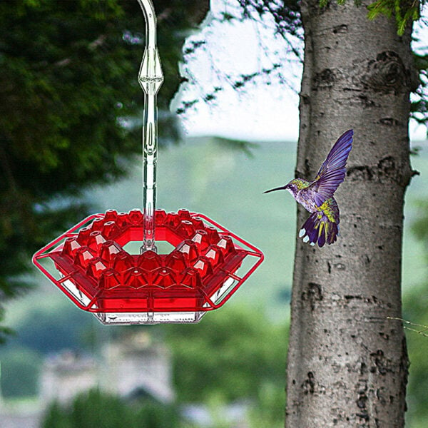 (Last Day Sale-50% OFF) Mary's Hummingbird Feeder With Perch And Built-in Ant Moat