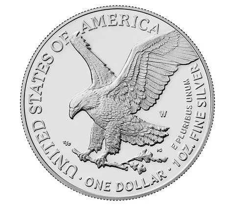 LAST DAY SPECIAL SALE 70% OFF - American Eagle 2024 One Ounce Eagle Coin