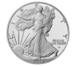 LAST DAY SPECIAL SALE 70% OFF - American Eagle 2024 One Ounce Eagle Coin